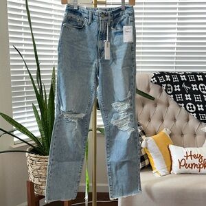 NWT GOOD AMERICAN Indigo 117 Curvy Jean Flat Tummy Tech Gap Proof Waistband Sz 2